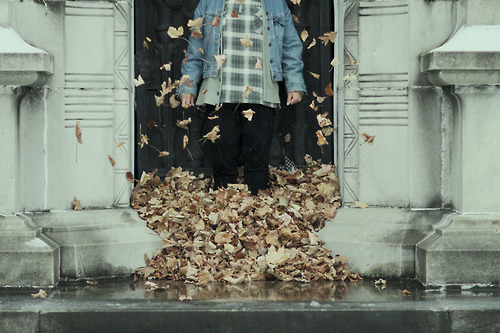 tumblr_mxzi9keDGg1qkr2o8o1_500