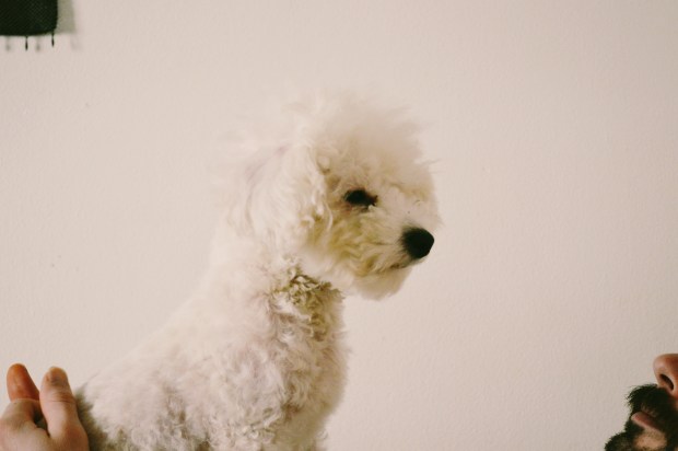 Processed with VSCOcam with n3 preset