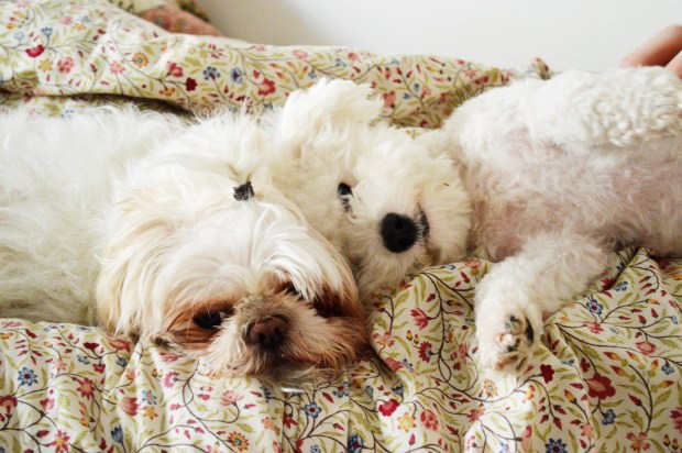 Processed with VSCOcam with n1 preset