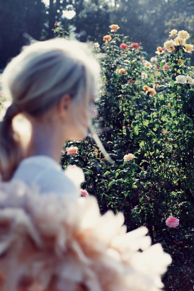 SUMMER_ROYAL_ROMANCE_FOX-43