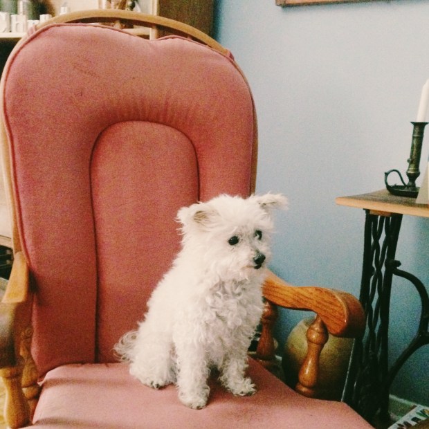 Processed with VSCOcam with n3 preset