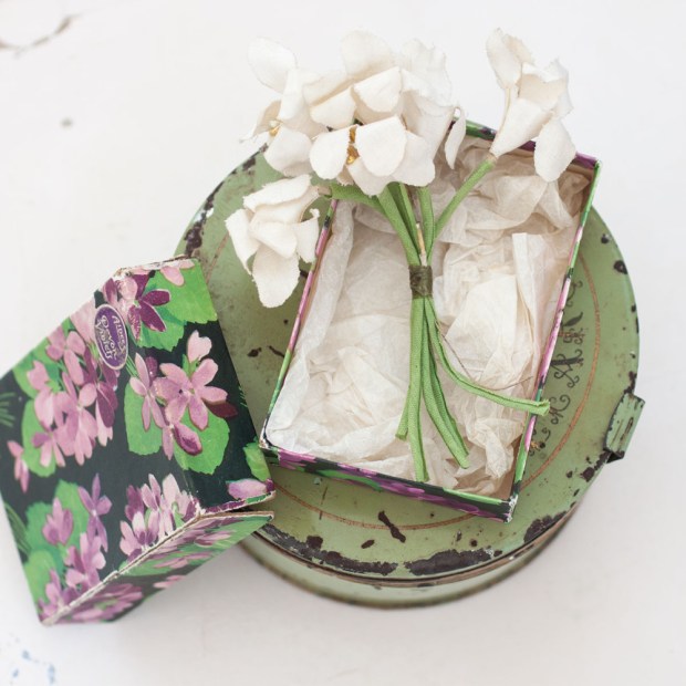 devon-violets-card-box-1-1000x1000