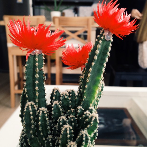 Processed with VSCOcam with g3 preset