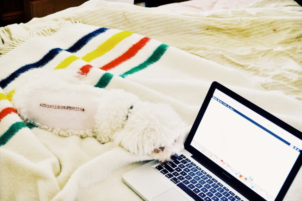 Larkspur Vintage | My Morning Routine