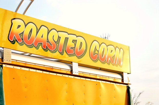 Larkspur Vintage | Carnival Colour Theory