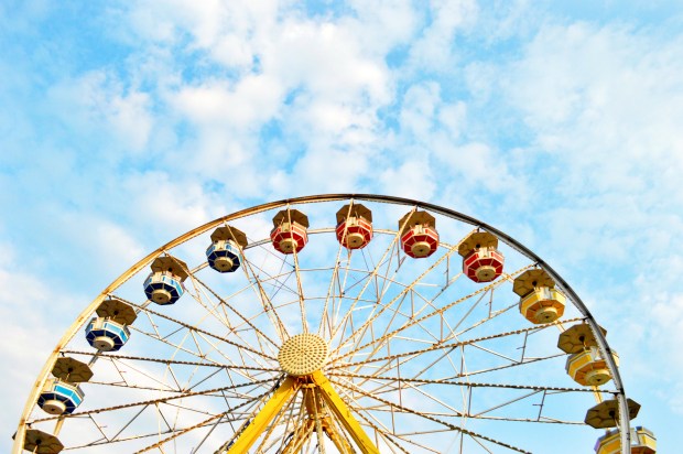 Larkspur Vintage | Carnival Colour Theory