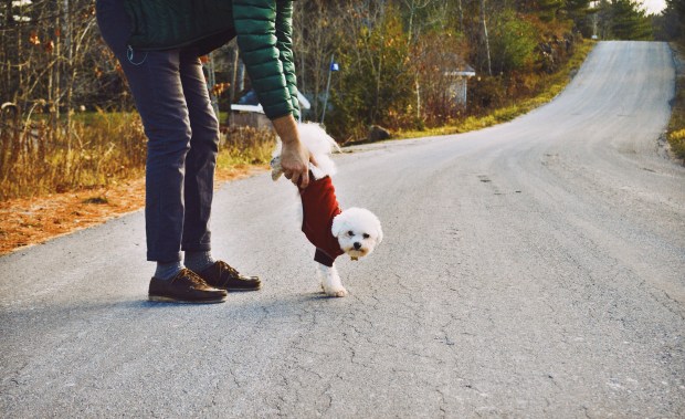 Larkspur Vintage | Photo Diary: Six Mile Lake / 1