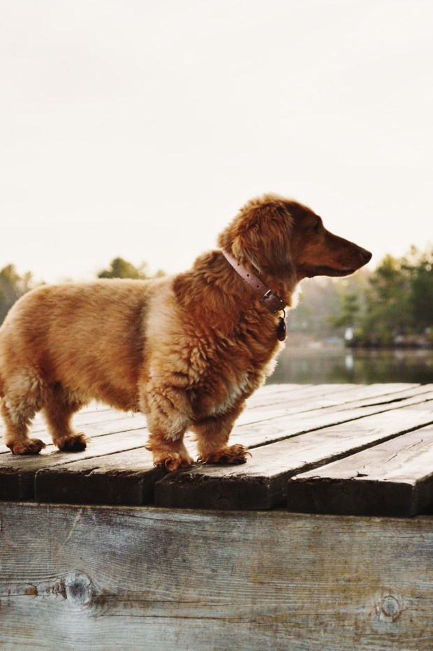 Larkspur Vintage | Photo Diary: Six Mile Lake / 1