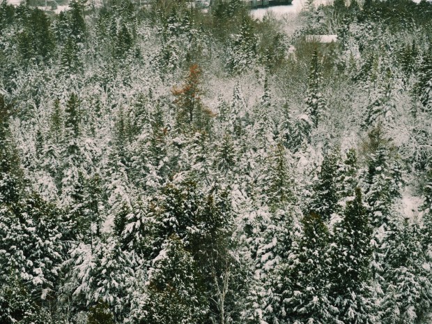 Larkspur Vintage | Photo Diary: Tobermory