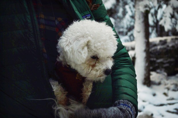 Larkspur Vintage | Photo Diary: Tobermory