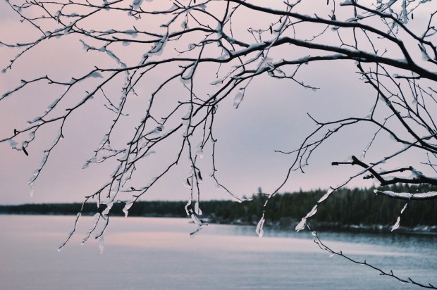 Larkspur Vintage | Photo Diary: Tobermory