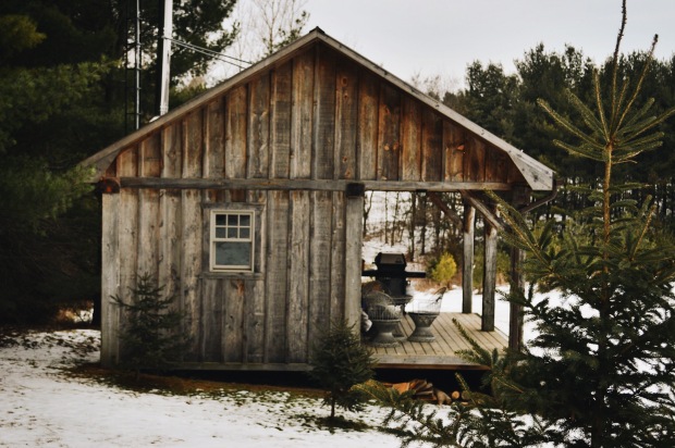 Larkspur Vintage | Photo Diary: Cabin in Schomberg, Ontario