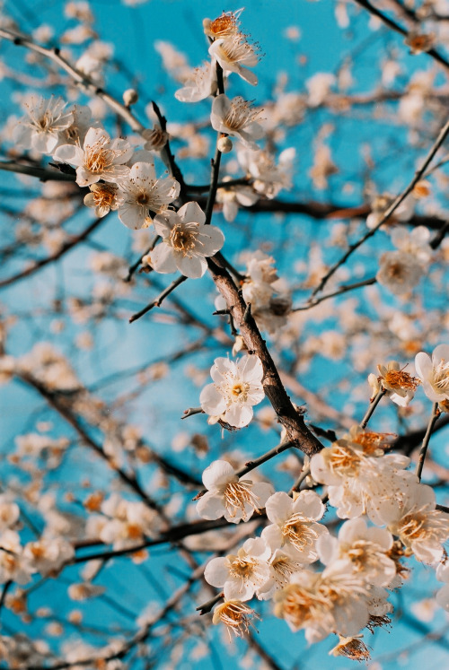 tumblr_mdi5zbXY7j1rska6xo1_500