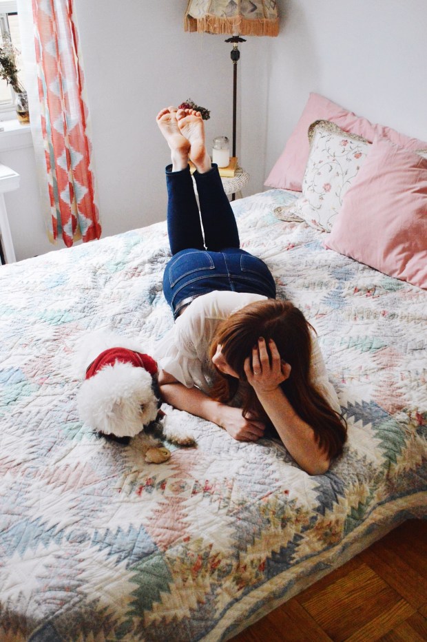  Larkspur Vintage | My Aversion