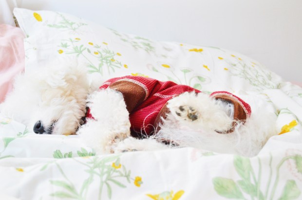 Larkspur Vintage | Things I Like / 1