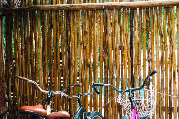 Larkspur Vintage | Tulum Recommendations & Tips