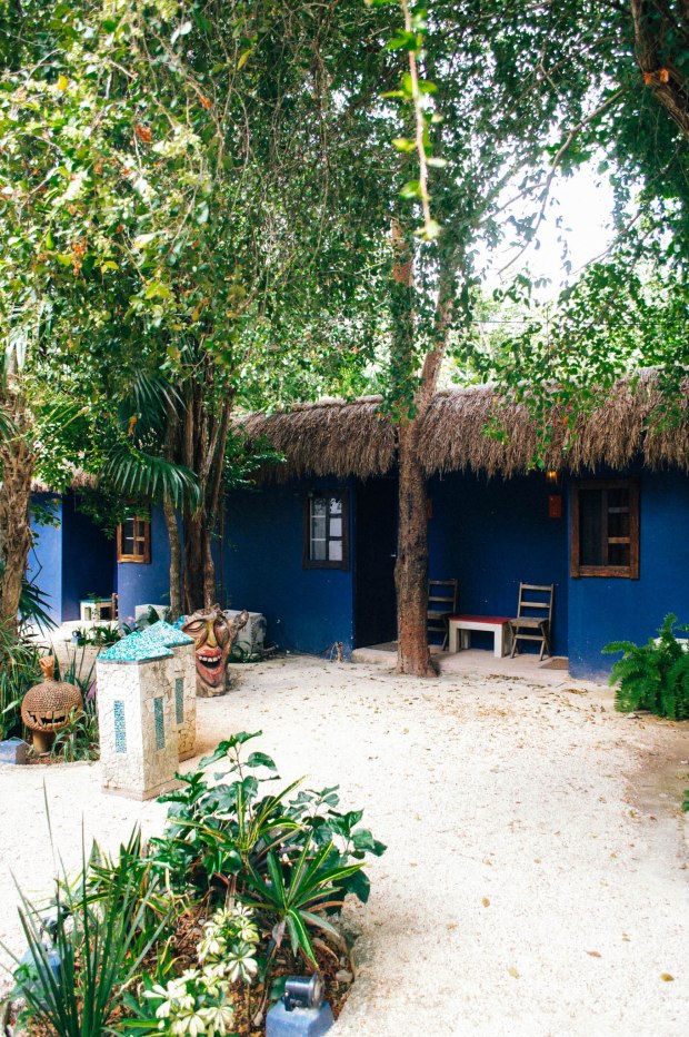Larkspur Vintage | Tulum Recommendations & Tips