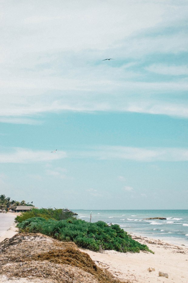 Larkspur Vintage | Tulum Recommendations & Tips