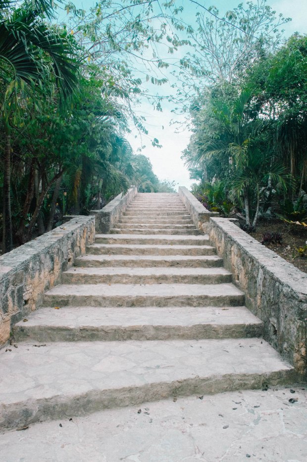 Larkspur Vintage | Tulum Recommendations & Tips