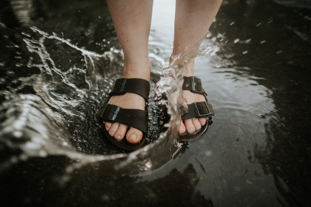 Larkspur Vintage | Puddle of Mud