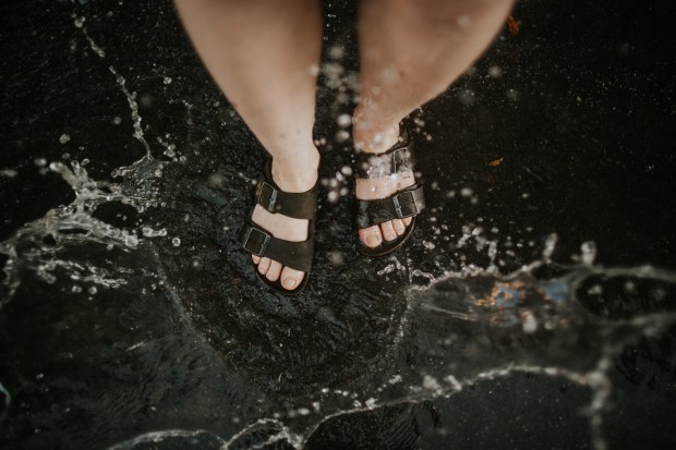 Larkspur Vintage | Puddle of Mud