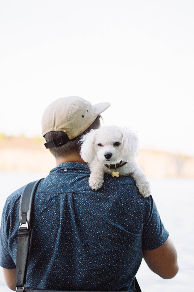 Larkspur Vintage | Marmora Mine