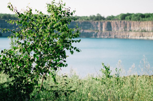 Larkspur Vintage | Marmora Mine