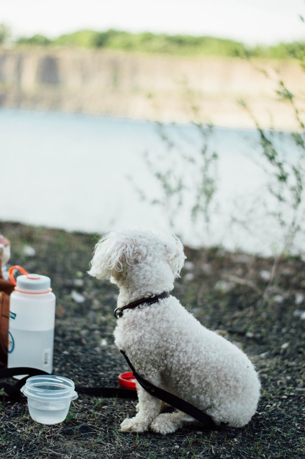 Larkspur Vintage | Marmora Mine