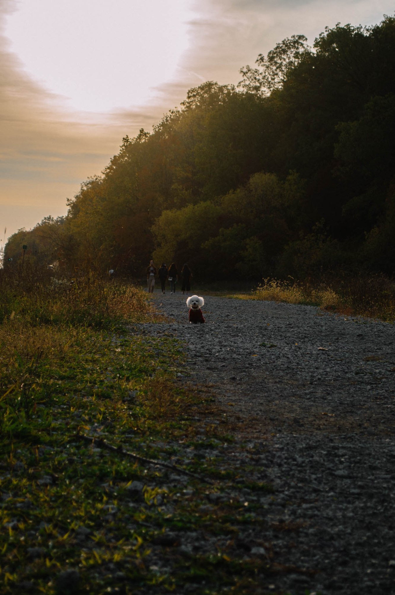 Larkspur Vintage | Photo Diary: Dundas Peak