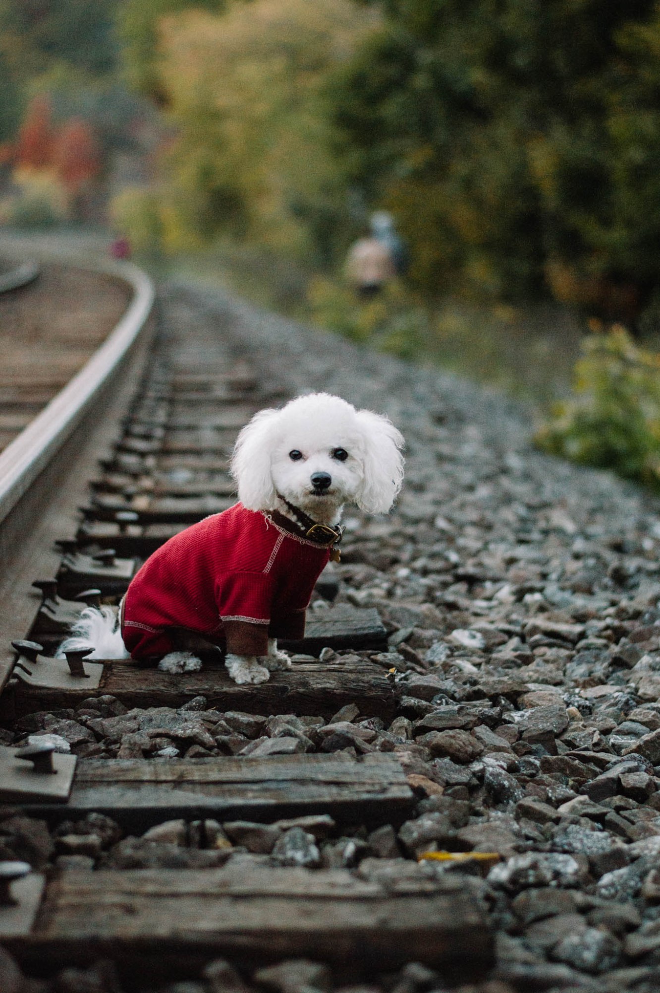 Larkspur Vintage | Photo Diary: Dundas Peak