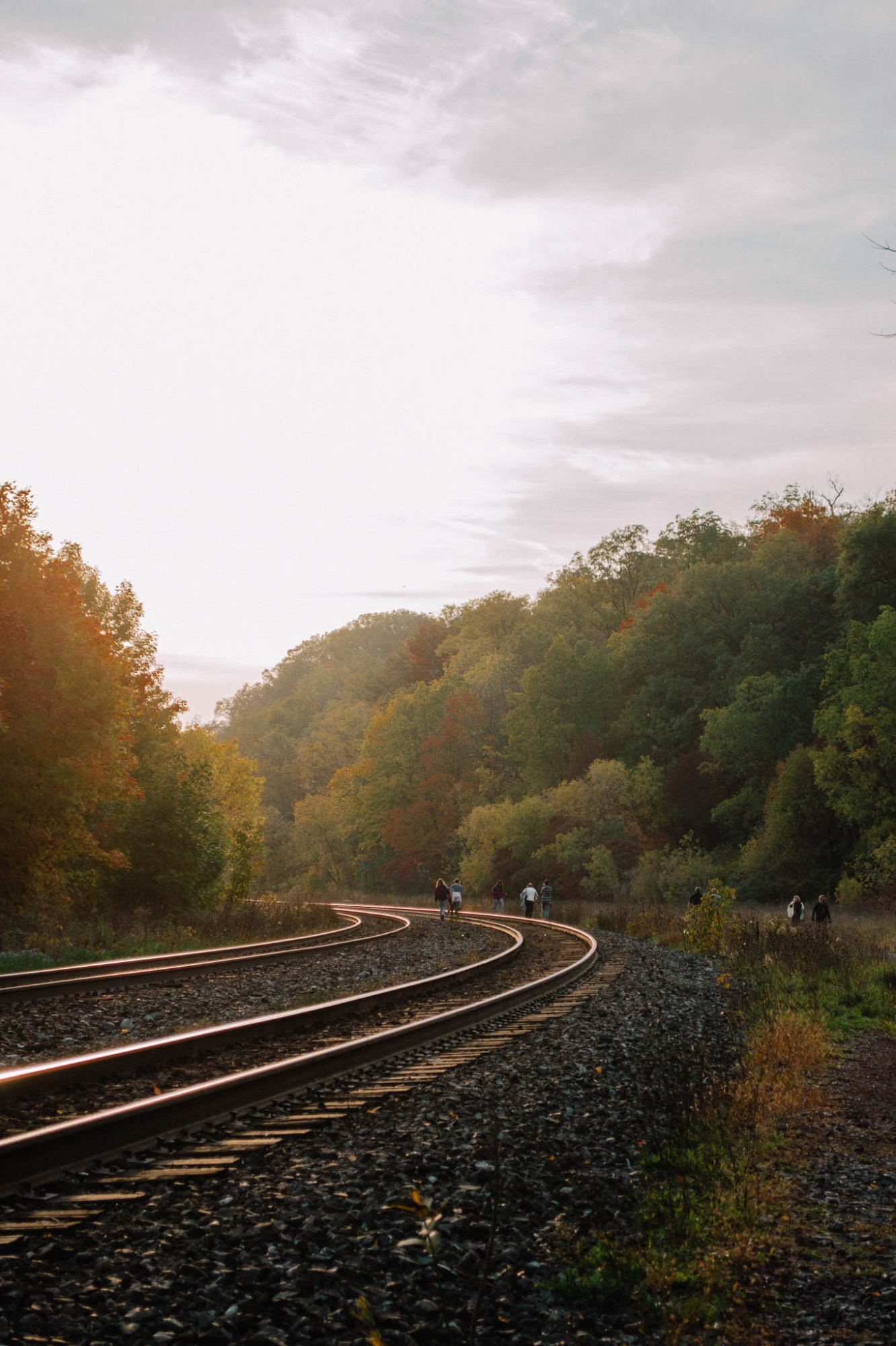 Larkspur Vintage | Photo Diary: Dundas Peak