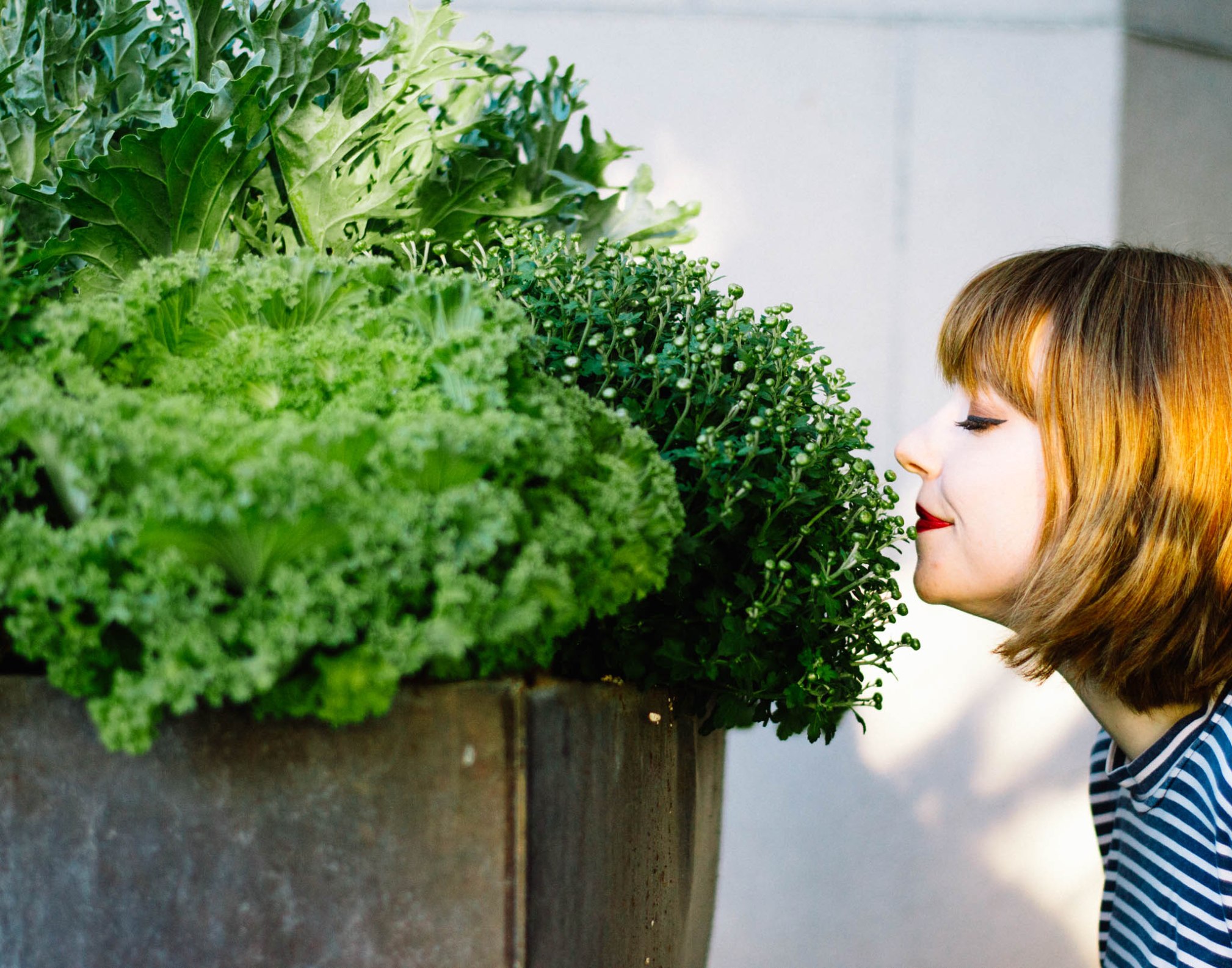 Larkspur Vintage | Bright and Shiny Lights