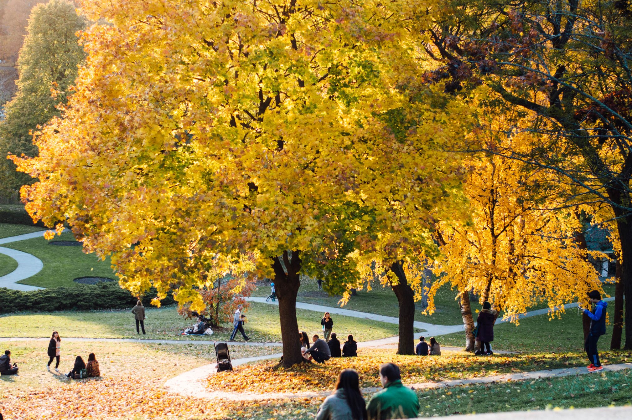 OKAY ANDIE | Photo Diary: High Park in Autumn