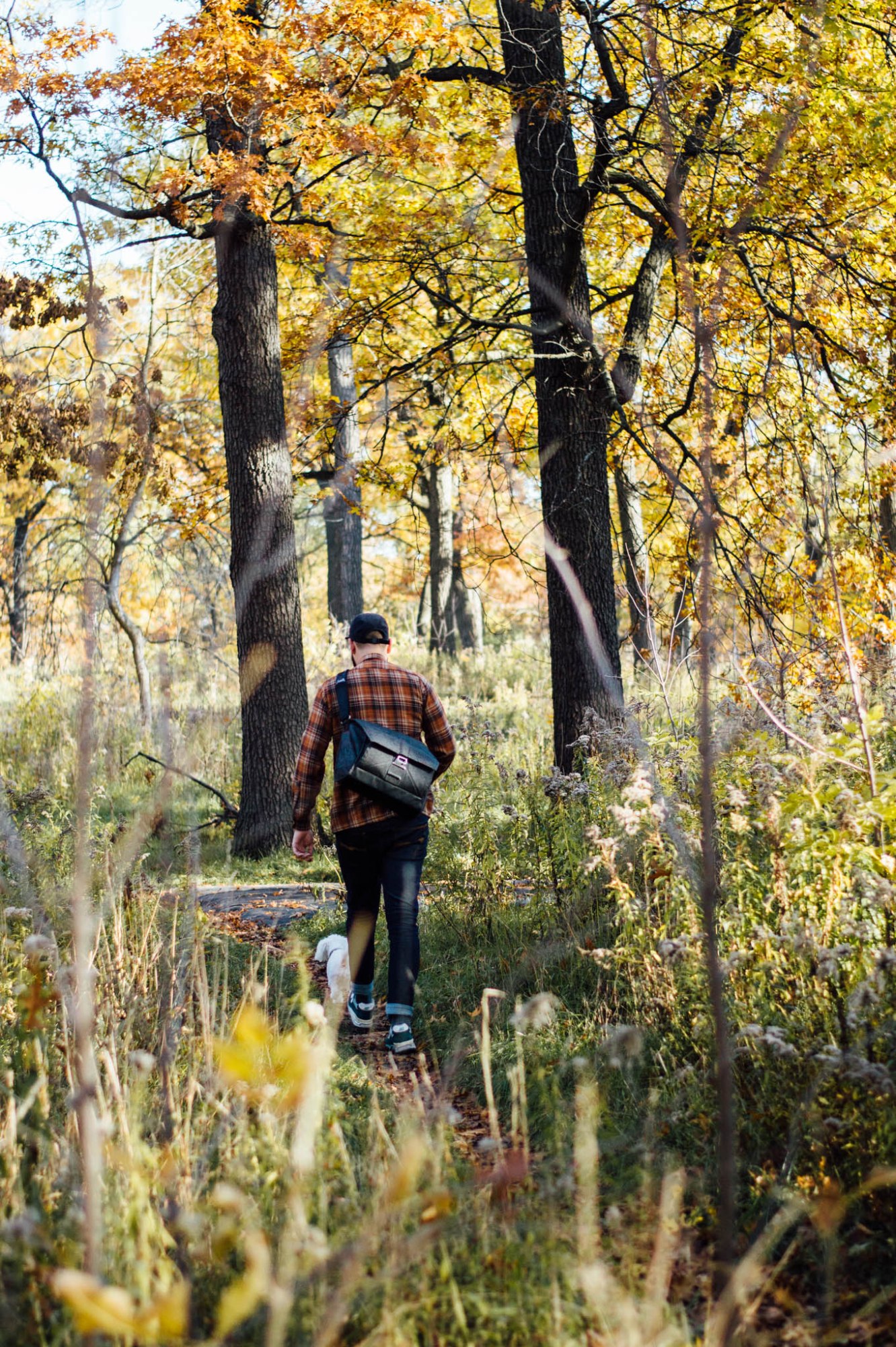 OKAY ANDIE | Photo Diary: High Park in Autumn