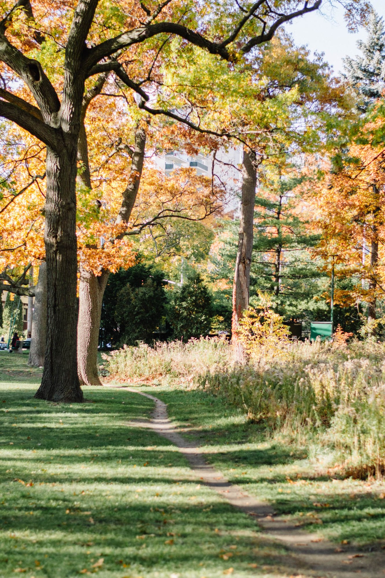 OKAY ANDIE | Photo Diary: High Park in Autumn