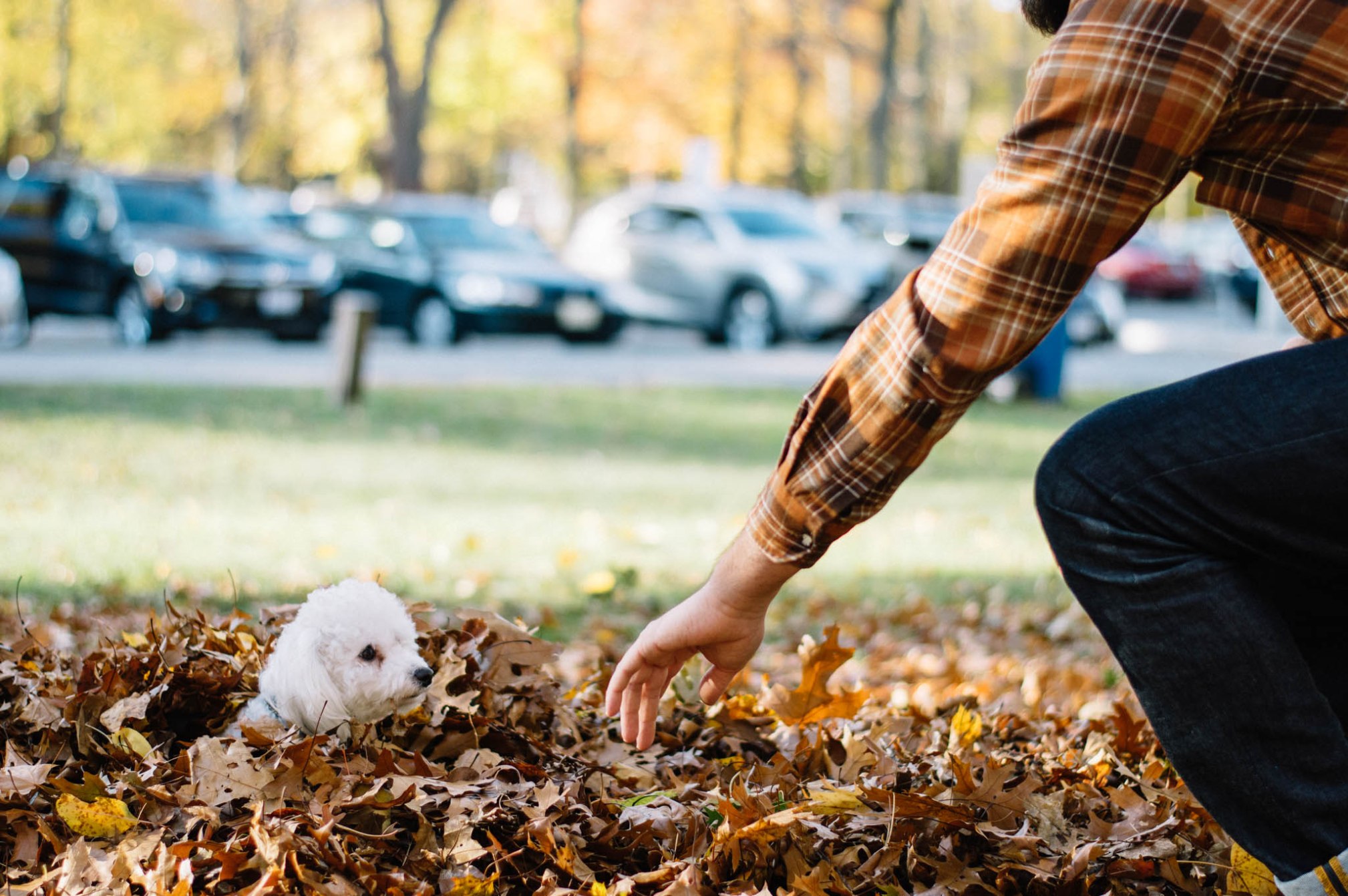OKAY ANDIE | Photo Diary: High Park in Autumn