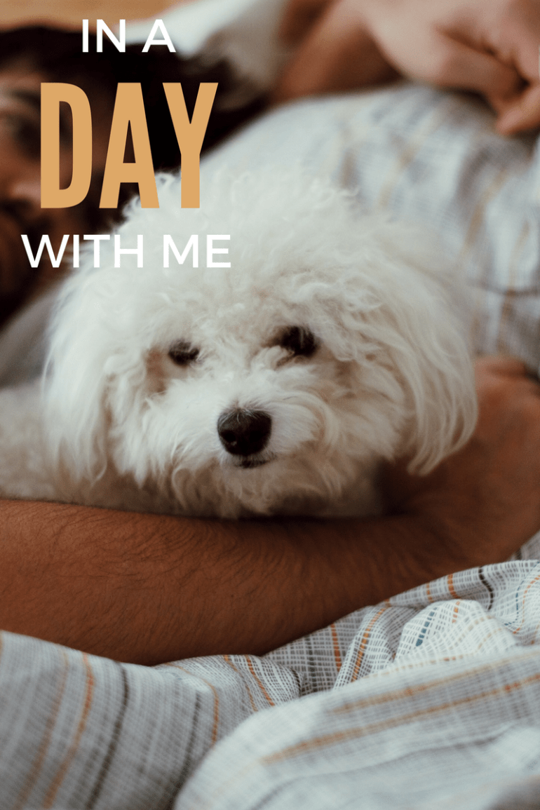 OKAY ANDIE | IADWM: A Relaxed One