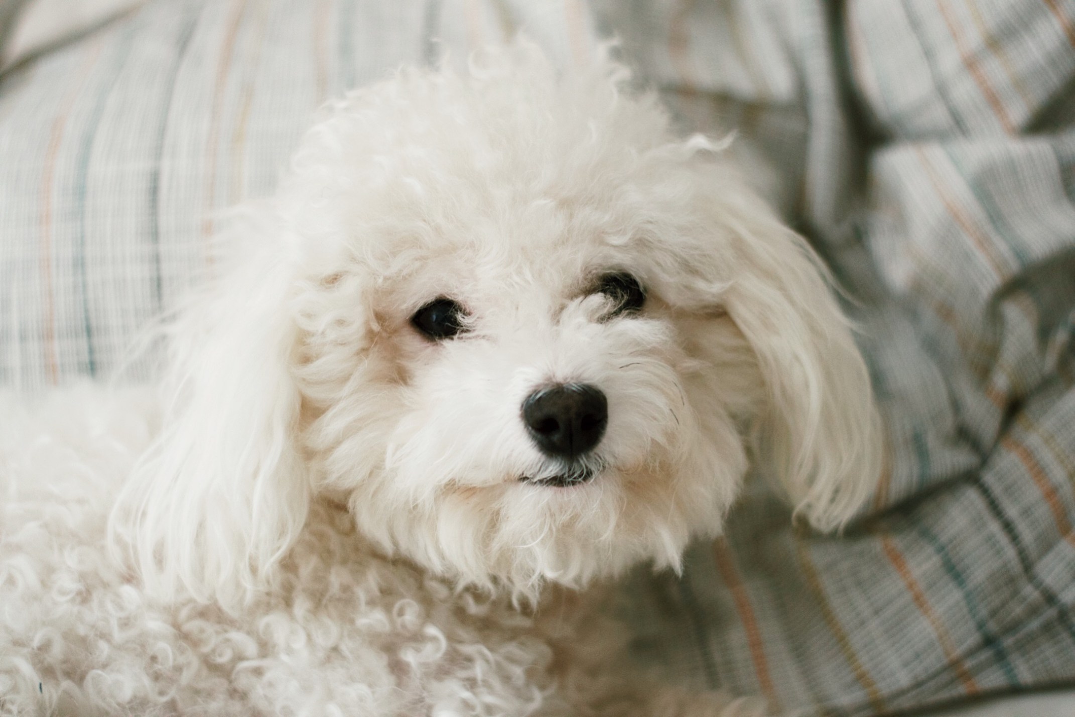 OKAY ANDIE | IADWM: A Relaxed One