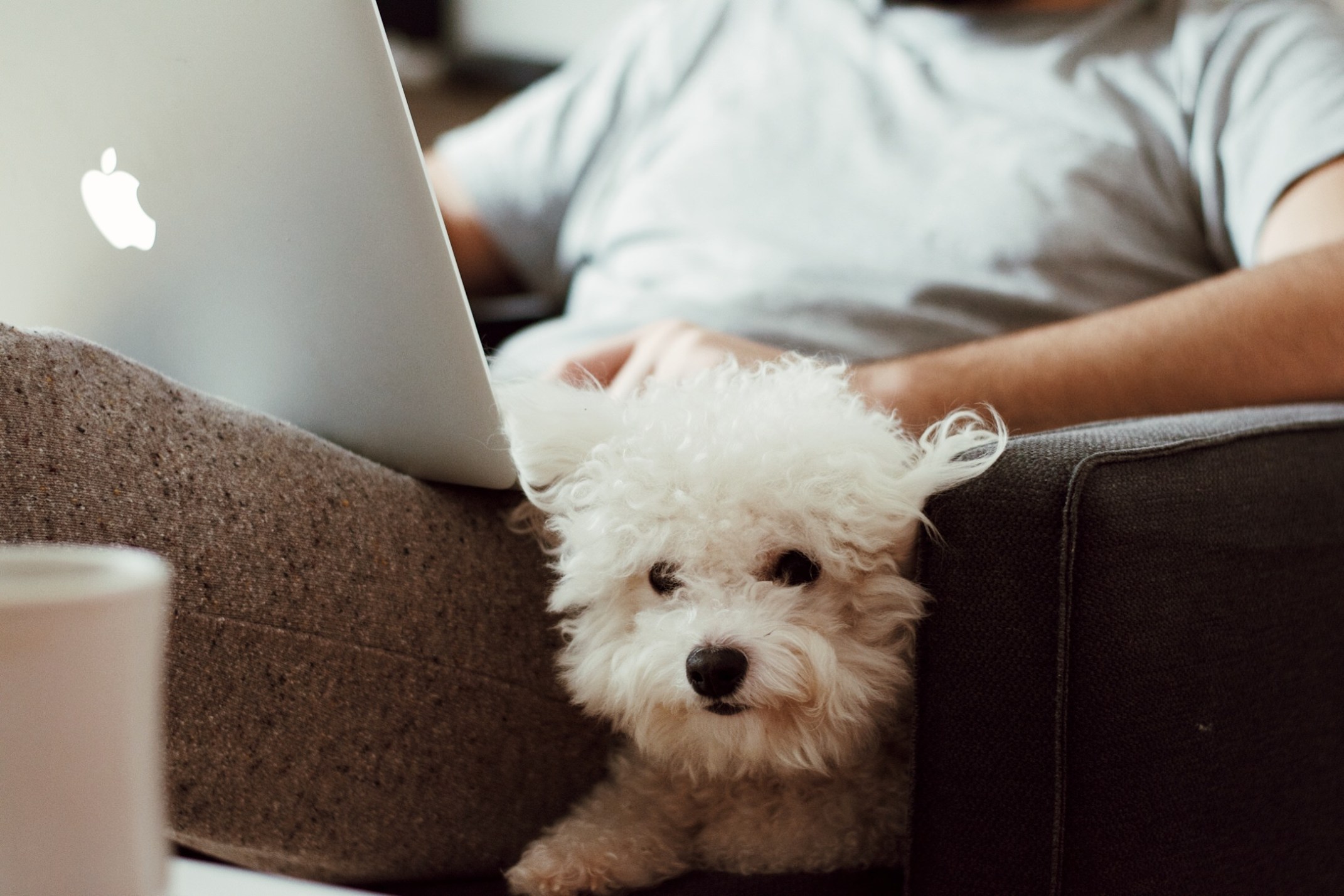 OKAY ANDIE | IADWM: A Relaxed One