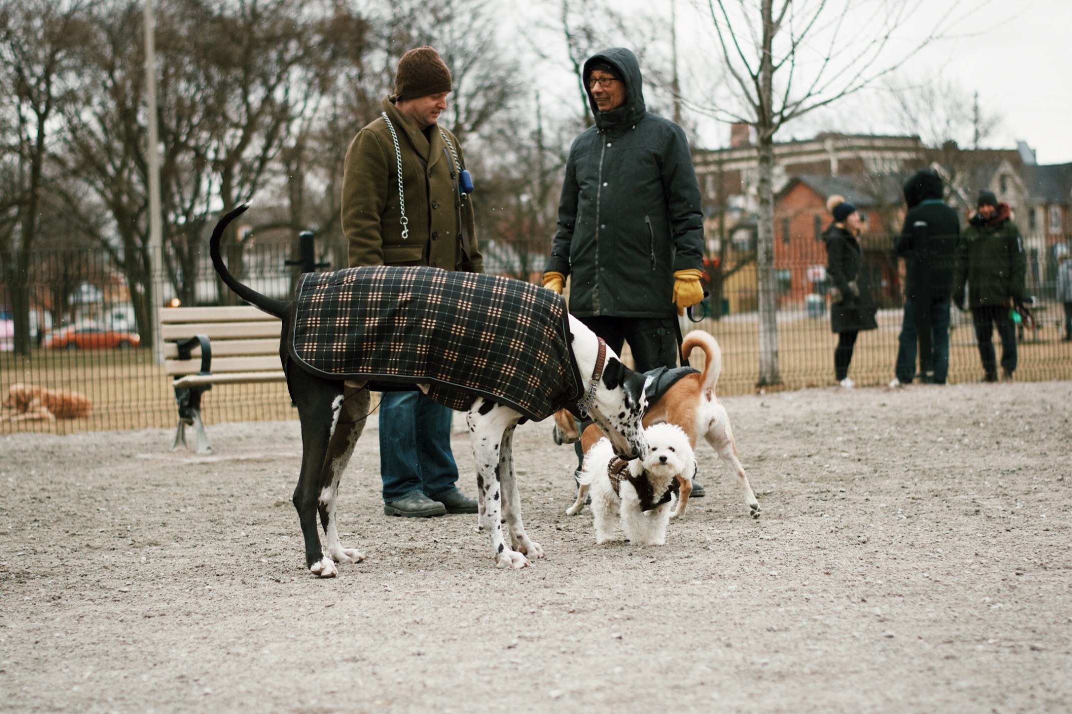 OKAY ANDIE | IADWM: A Relaxed One